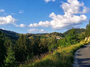 117178790 3633484160013037 165021199184074051 o