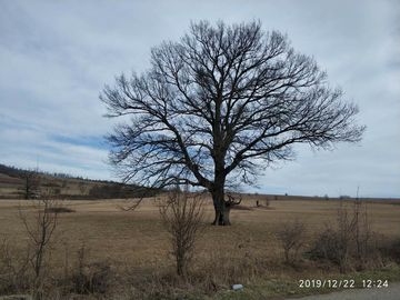 59 IMG 20191222 122411