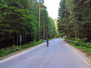 svetlozar jordanov 06