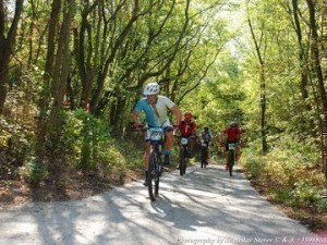 svetlozar jordanov 40