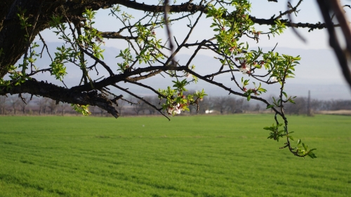 Бревет Долината на тракийските царе 2024 Откриване на активния сезон