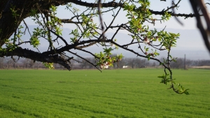 Бревет Долината на тракийските царе 2024 Откриване на активния сезон