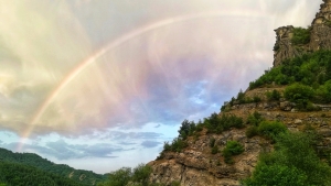 Стъпки на развитие на коломаратонеца &ndash; рандоньор