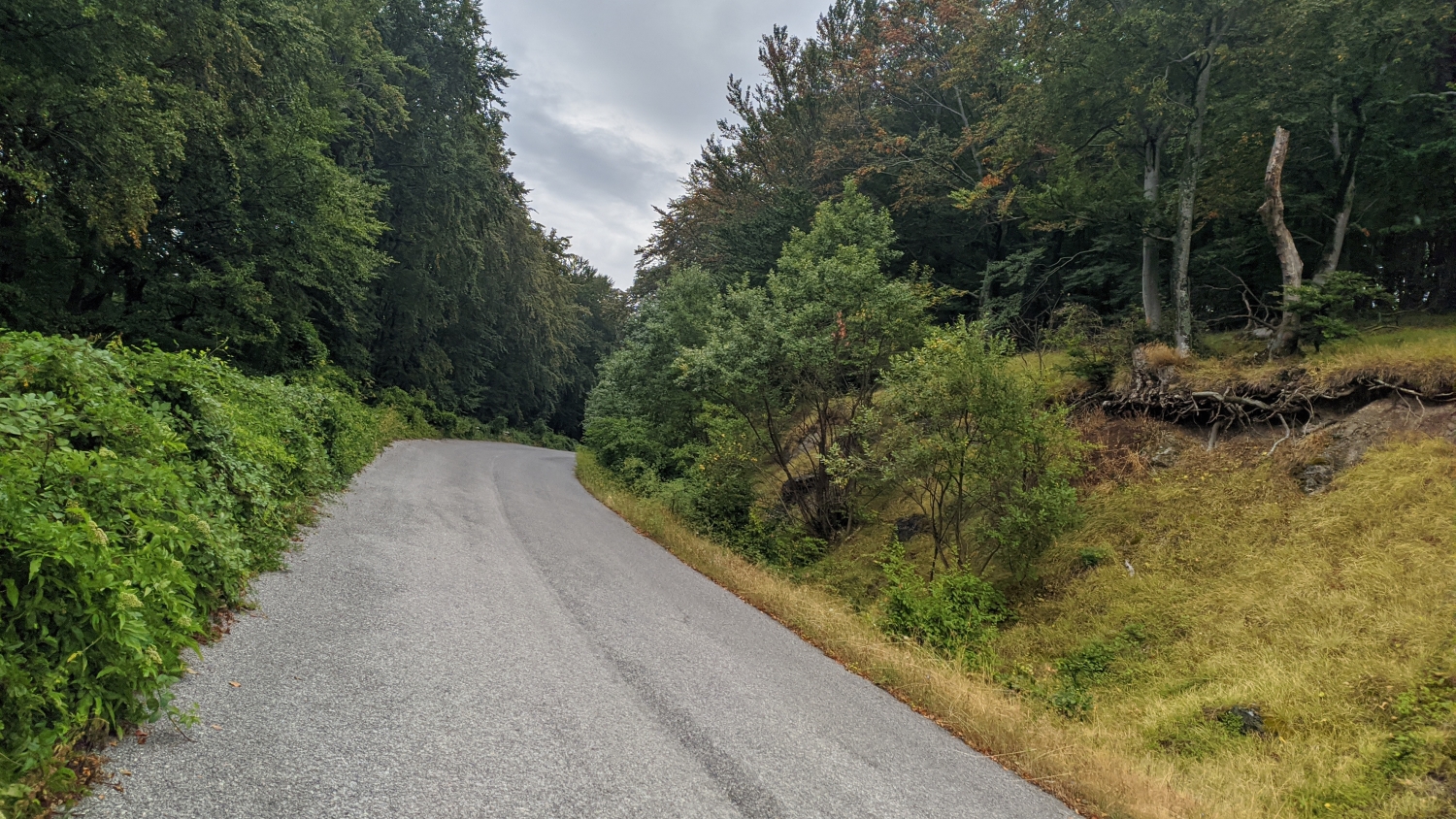 Бревет Супер рандоне "Галопиране през историята" SR600