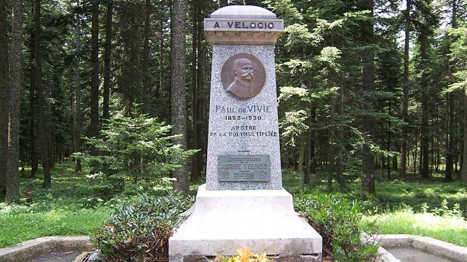 Кратка история на бреветите 1888-2020 Разказ 9